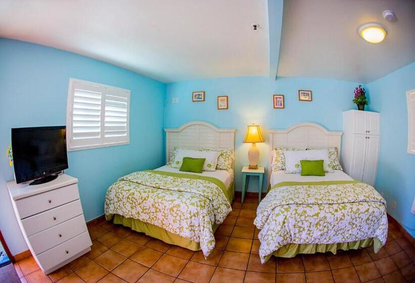 غرفه قياسيه سريرين مزدوجين, Leucadia Beach Inn