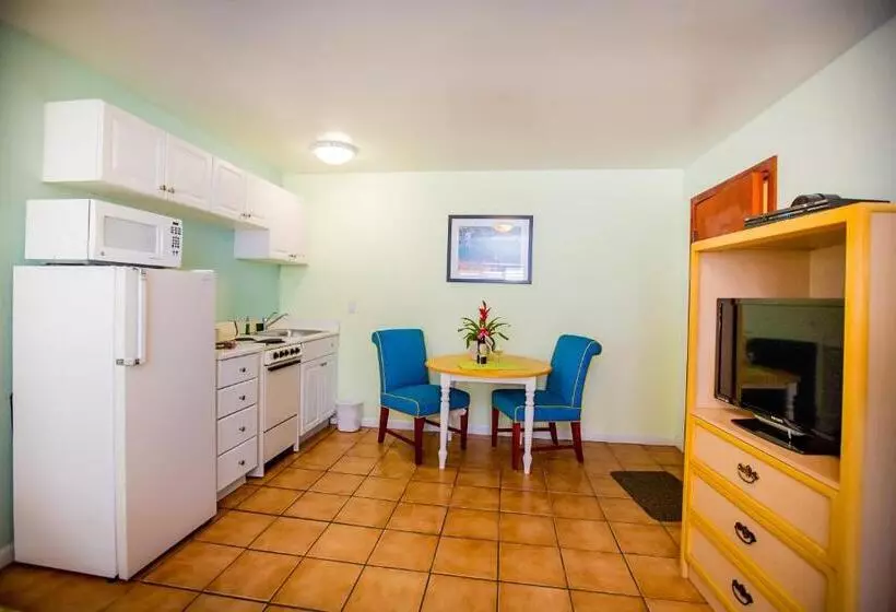 2ダブルベッドのスタンダードルーム, Leucadia Beach Inn