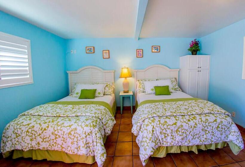 غرفه قياسيه سريرين مزدوجين, Leucadia Beach Inn