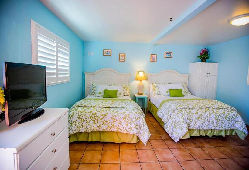 غرفه قياسيه سريرين مزدوجين, Leucadia Beach Inn