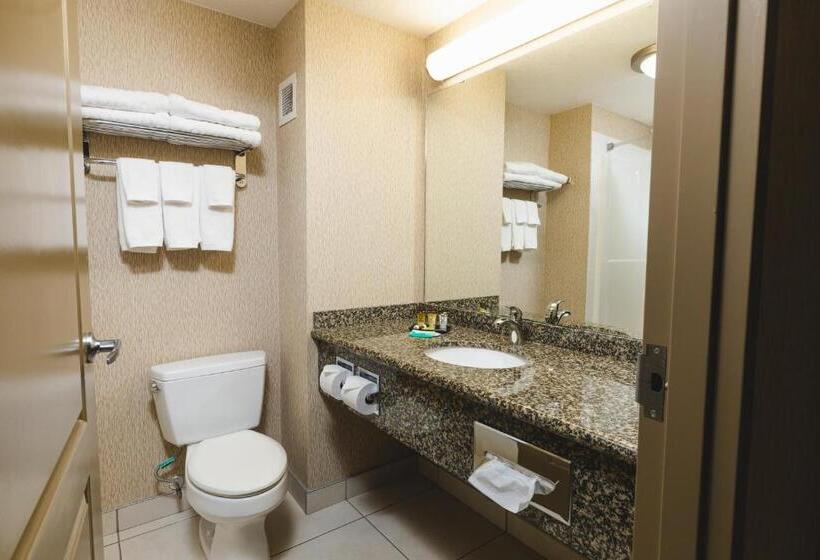 Номер Стандарт, Redwood Inn & Suites