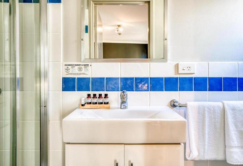 이코노미 룸, Il Mondo Boutique