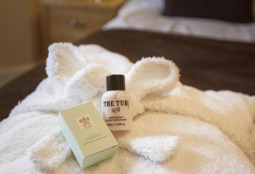 غرفة قياسية سرير كينج, Somerville House