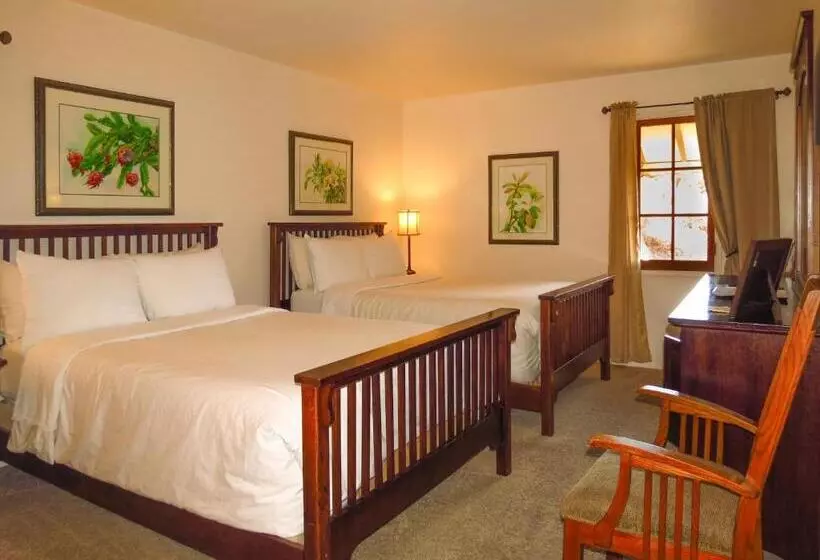 اتاق استاندارد با 2 تخت دوبل, Topanga Canyon Inn Bed And Breakfast