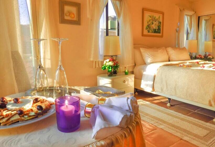 디럭스 룸 킹사이즈 침대, Topanga Canyon Inn Bed And Breakfast