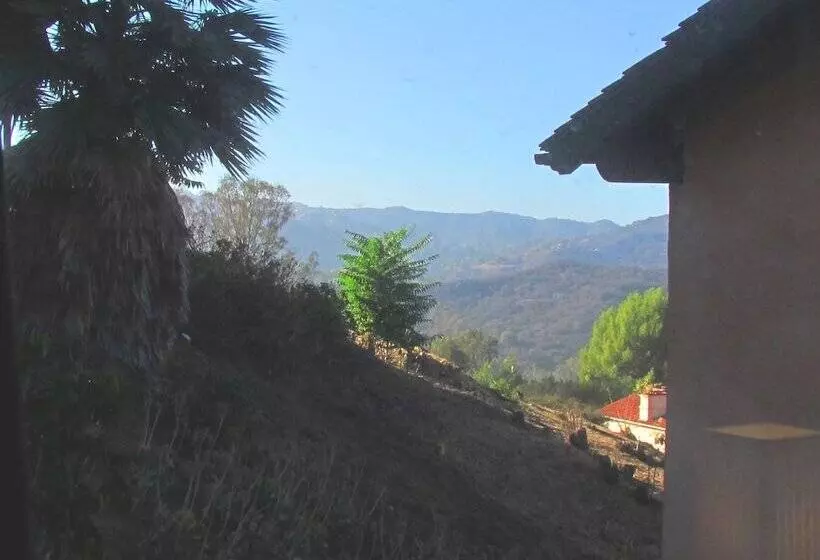 اتاق استاندارد با تخت دو نفره بزرگ, Topanga Canyon Inn Bed And Breakfast