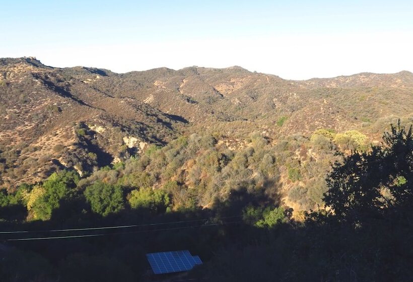 غرفة قياسية سرير ملكى, Topanga Canyon Inn Bed And Breakfast