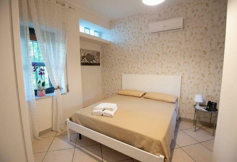 غرفة إقتصادية, Donna Rosita