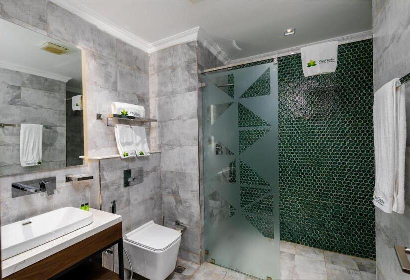 اتاق استاندارد یک نفره, Zara Garden Hotel And Apartments