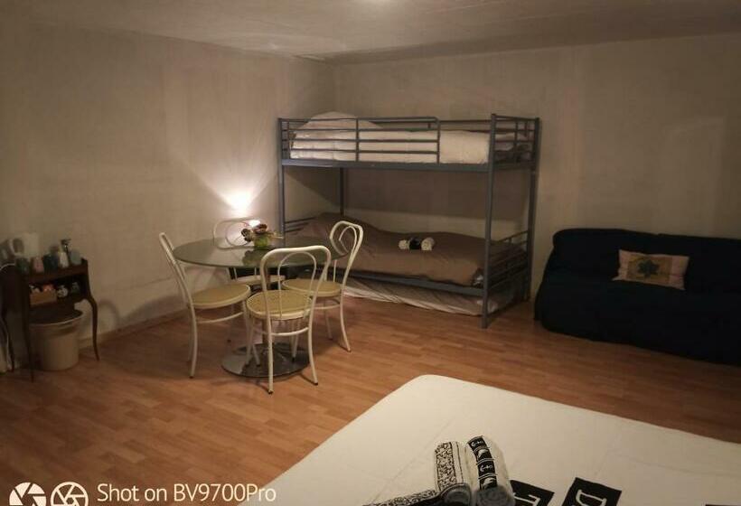 Четырехместный номер эконом класса с общей ванной комнатой, La Baronnerie