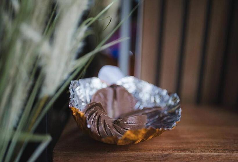 اتاق استاندارد با وان آب گرم, Impossible Motel