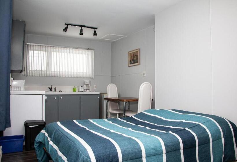 إستوديو قياسى مطل على البحر, Motel De La Mer