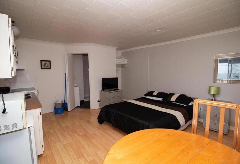 إستوديو قياسى مطل على البحر, Motel De La Mer