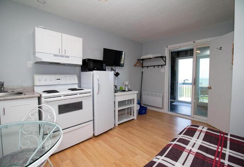 إستوديو قياسى مطل على البحر, Motel De La Mer