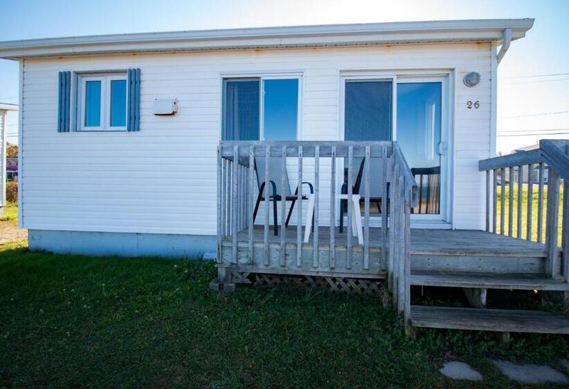 إستديو عائلى, Motel De La Mer