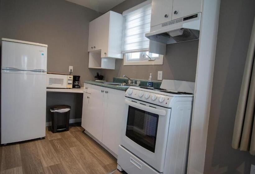 إستديو عائلى, Motel De La Mer