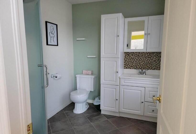 شقة ديلوكس غرفة واحدة, Motel De La Mer