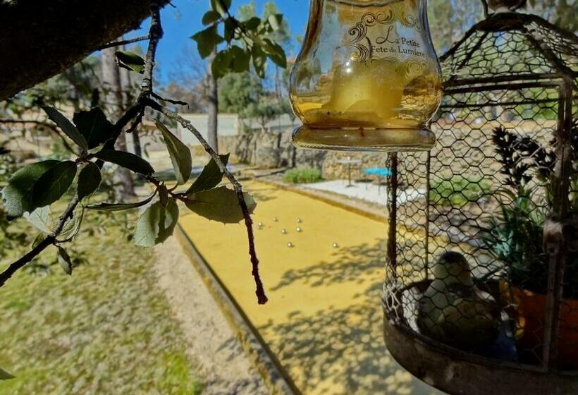 غرفة سوبيريور سرير كينج, Chambres D Hôtes Et Gîtes Les Restanques