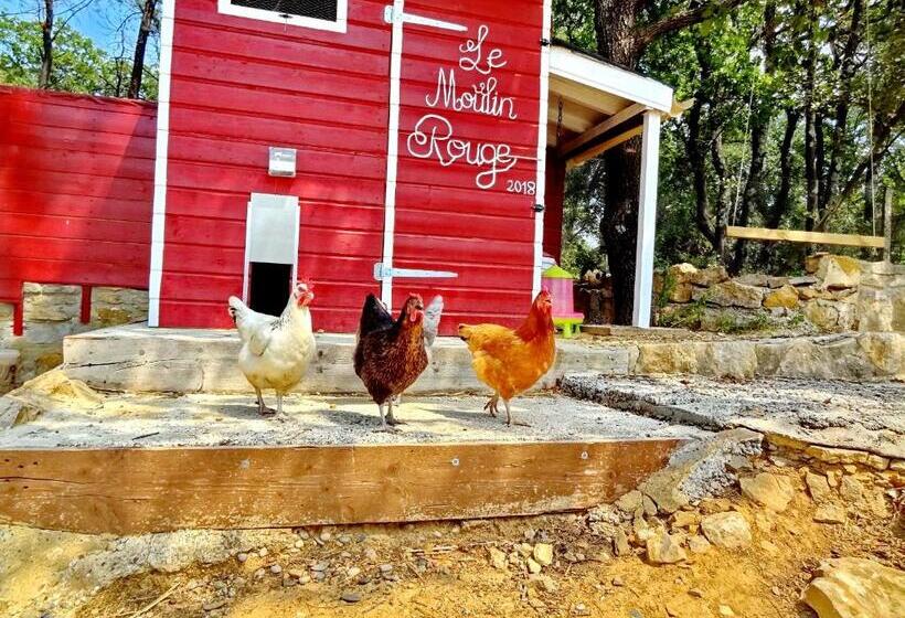 غرفة سوبيريور سرير كينج, Chambres D Hôtes Et Gîtes Les Restanques