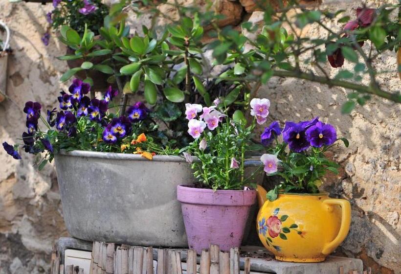 جناح عائلي, La Voûte De Lapparan