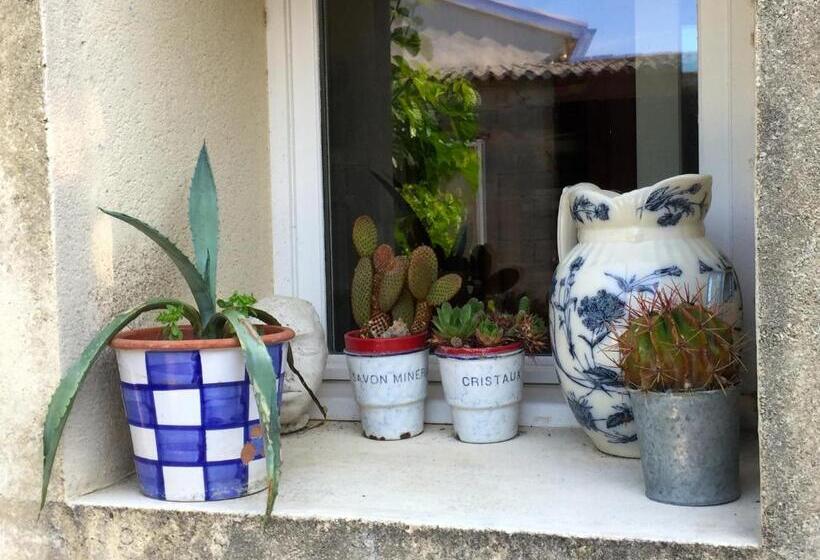 جناح عائلي, La Voûte De Lapparan