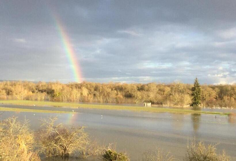 Номер Deluxe, Les Papouz