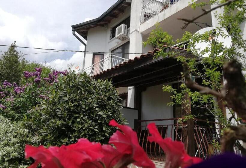 إستديو عائلى, вила фани синеморец