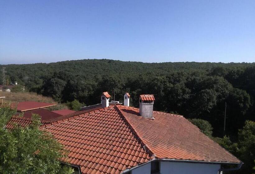 إستديو عائلى, вила фани синеморец