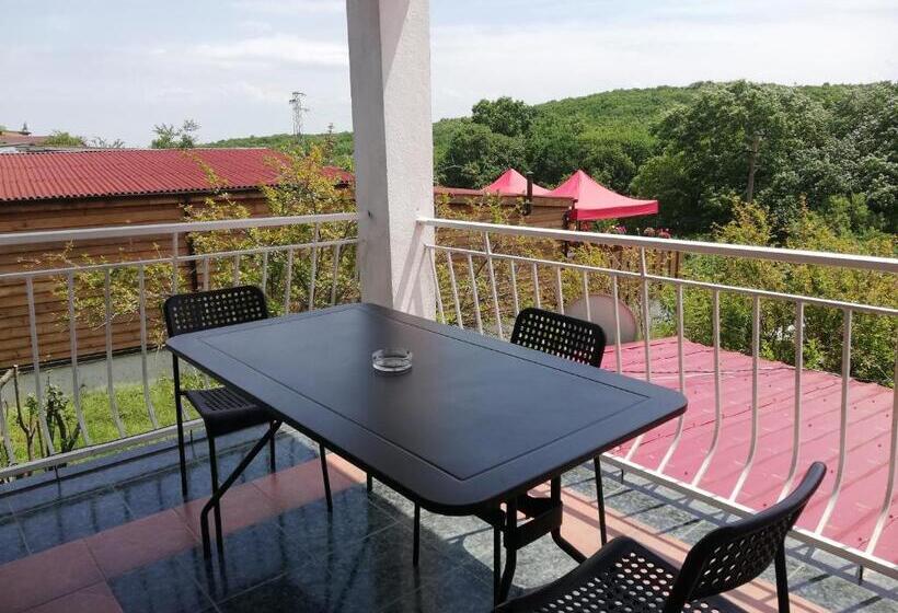 إستديو عائلى, вила фани синеморец