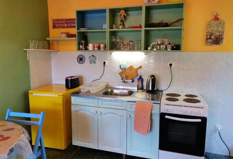 إستديو عائلى, вила фани синеморец