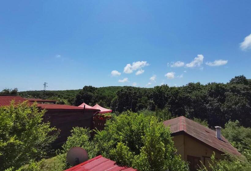 إستديو عائلى, вила фани синеморец