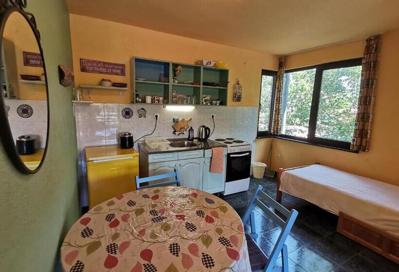 إستديو عائلى, вила фани синеморец