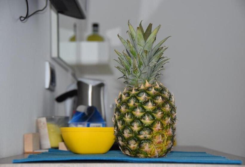 اتاق لوکس, Sms Studios