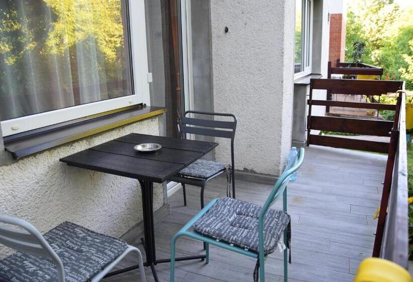 استودیوی لوکس, Sms Studios