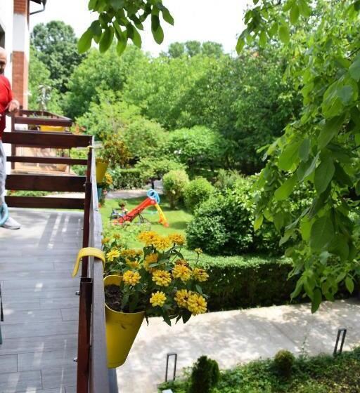 استودیوی لوکس, Sms Studios