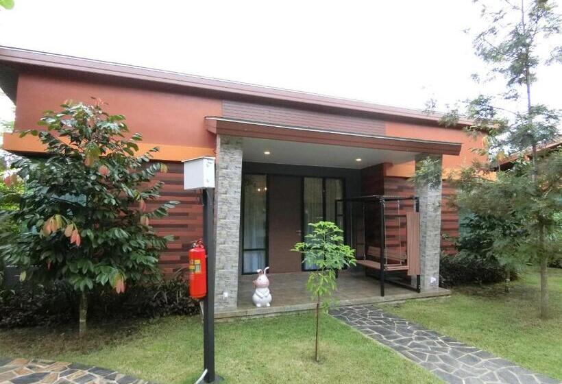 패밀리 방갈로, The Rabbit Home