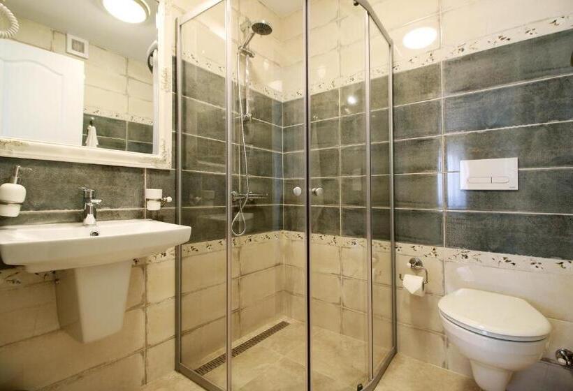 اتاق استاندارد, Select House