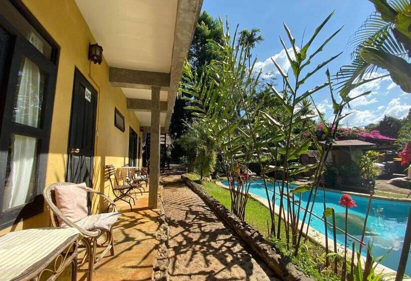 Habitació Estàndard Vista Piscina, Little Eden Guesthouse