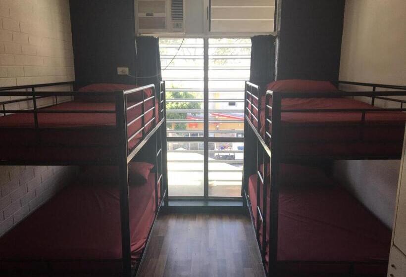 מיטה בחדר משותף, Youth Shack Backpackers Darwin
