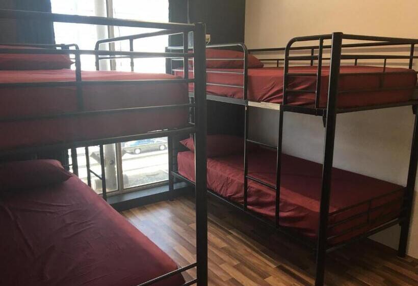 מיטה בחדר משותף, Youth Shack Backpackers Darwin