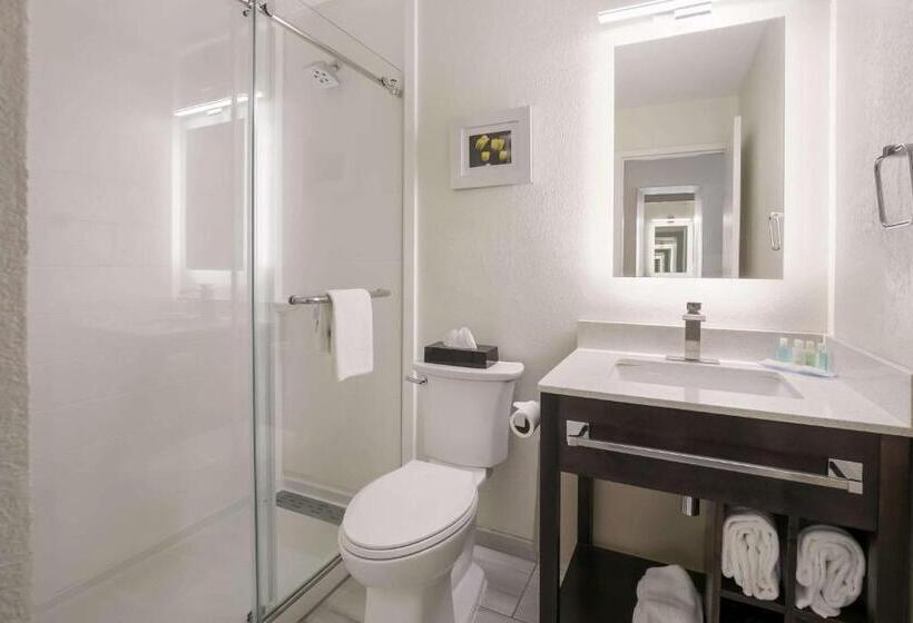 带大床的标准间, Clarion Hotel Conference Center