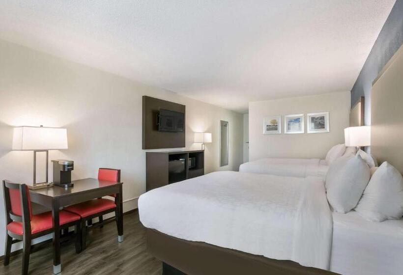 标准间, Clarion Hotel Conference Center