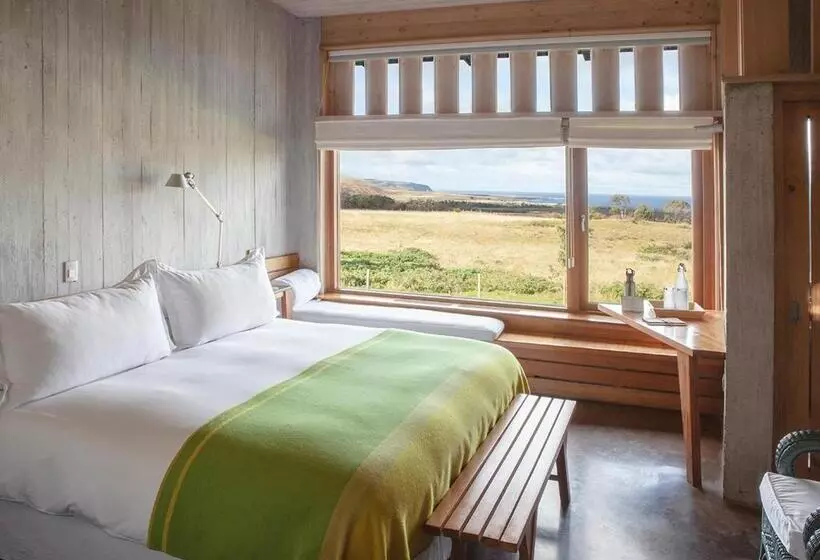 スタンダードルーム, Explora En Rapa Nui   All Inclusive