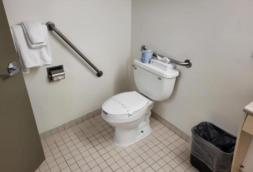 适合残疾人士使用的套间, Residence & Conference Centre   Windsor