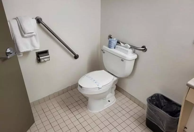 身障者適用スイートルーム, Residence & Conference Centre   Windsor