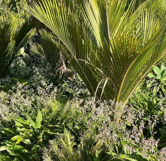 استودیو ساده, Stay Kerikeri Boutique Apartments And Studios