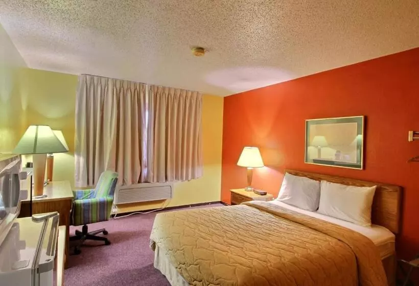 スタンダードルーム, The Belgium Inn & Suites