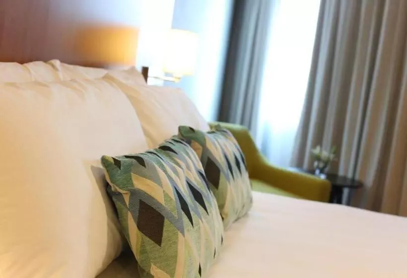 سوییت جونیور اجرایی, Aranjuez Hotel & Suites