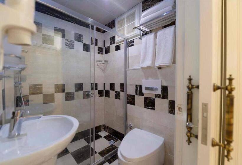 Camera Standard, Castle Old Town