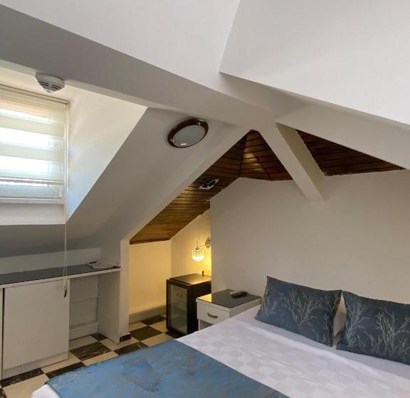 Camera Standard, Castle Old Town